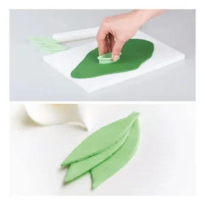 Decora - Kit 3 Tagliapasta Foglia Lunga Novità
