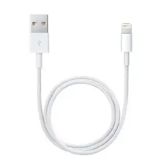 Apple Cavo da lightning a USB 0.5mt Promozione Esclusiva