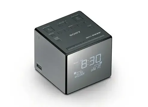 Esclusivo Sony XDRC1DBP radio Orologio Nero, Argento
