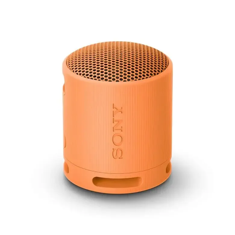 Sony SRS-XB100 - Speaker Wireless Bluetooth, portatile, leggero, compatto, da esterno, da viaggio, resistente IP67 impermeabile e antipolvere, batteria da 16 ore, cinturino versatile, chiama Vendita Finale