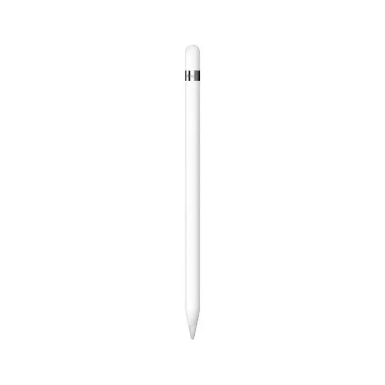 Professionale Apple Pencil (prima generazione)