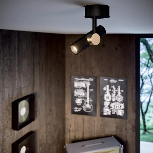 Goose proiettore da soffitto Occasione