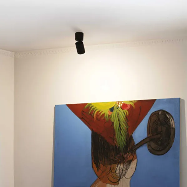 Promozione Esclusiva Toby plafoniera luce orientabile