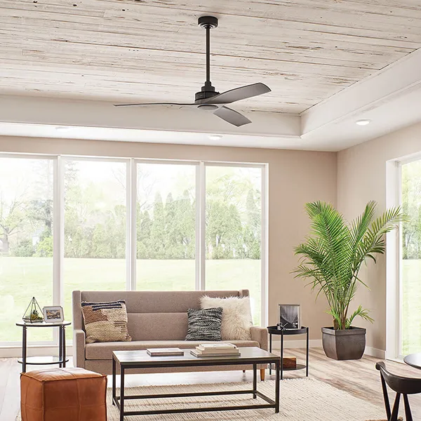 Ried ventilatore da soffitto Ultime Pezzi