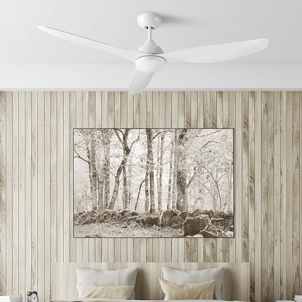 Promozione Nepal ventilatore da soffitto con luce