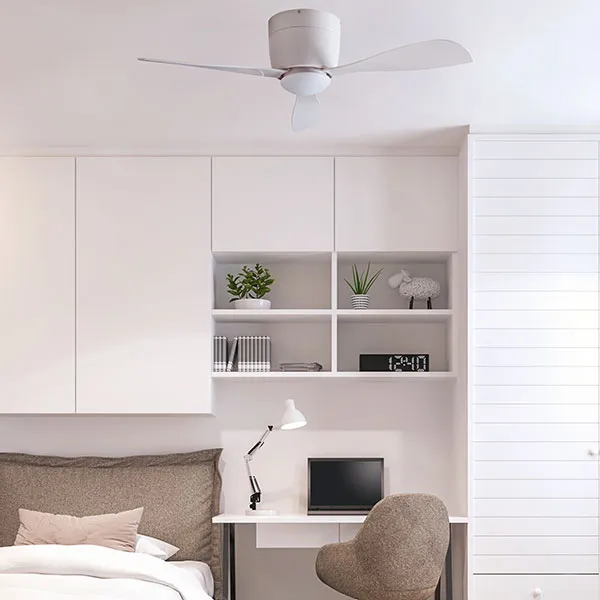Bora ventilatore da soffitto con luce Esclusivo