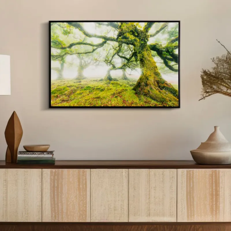 STAMPA SU TELA LACCATA C/CORNICE FORESTA - FERRETTI Subito Disponibile